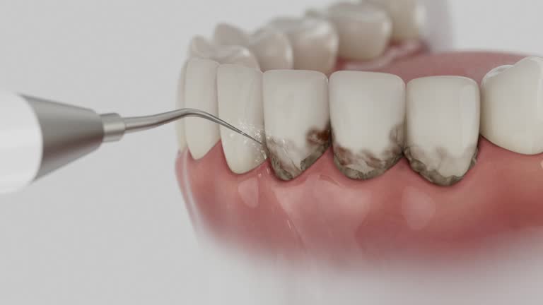 Reliable Dental contractor in Parker, SC by Dentist Open Now